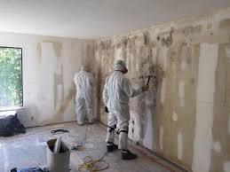 Best Black Mold Removal in Austell, GA